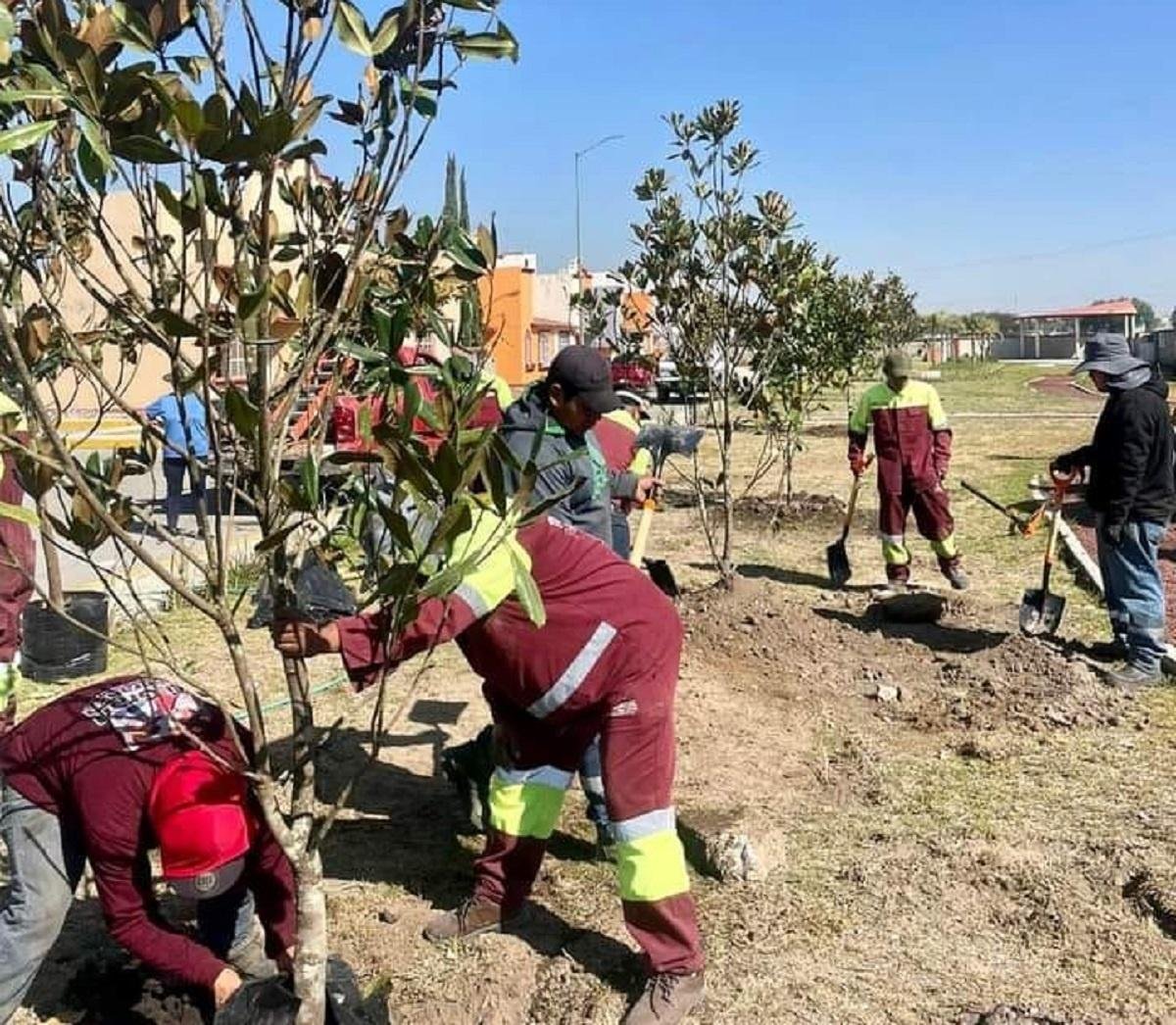 En Tecámac jornadas de reforestación
