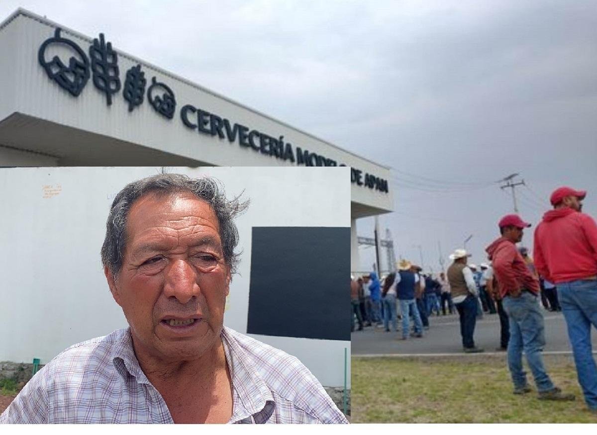 Productores de cebada de cuatro estados exigen respetar precio del grano