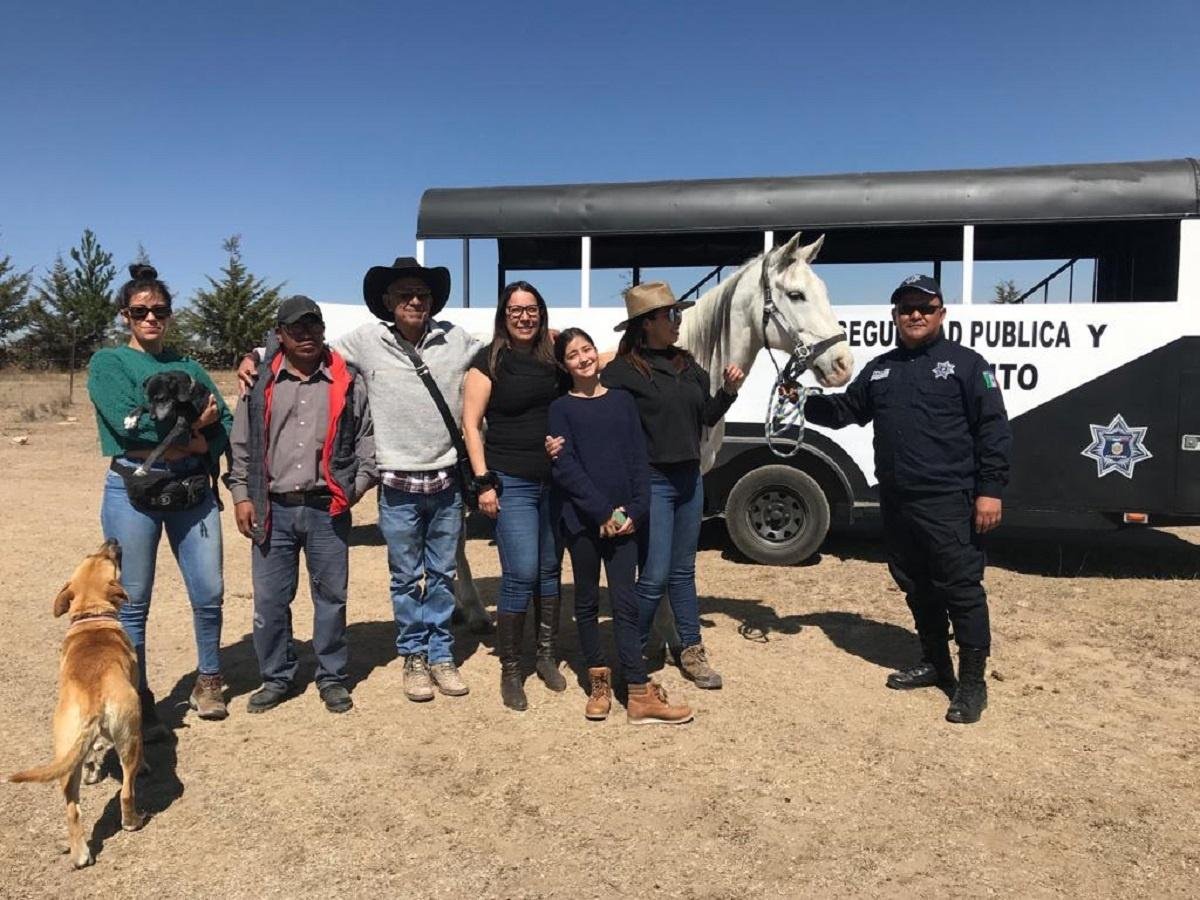 Retiran a santuarios naturales a equinos y perros de policía de Ecatepec 