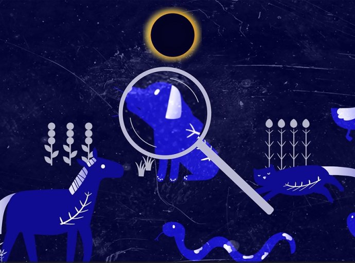 Comportamiento de los animales cambia durante un eclipse de Sol