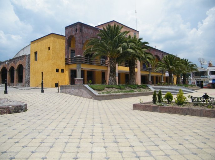 Episodio de Violencia: Policías Agredidos Tras Detener a Sujeto en Nopaltepec