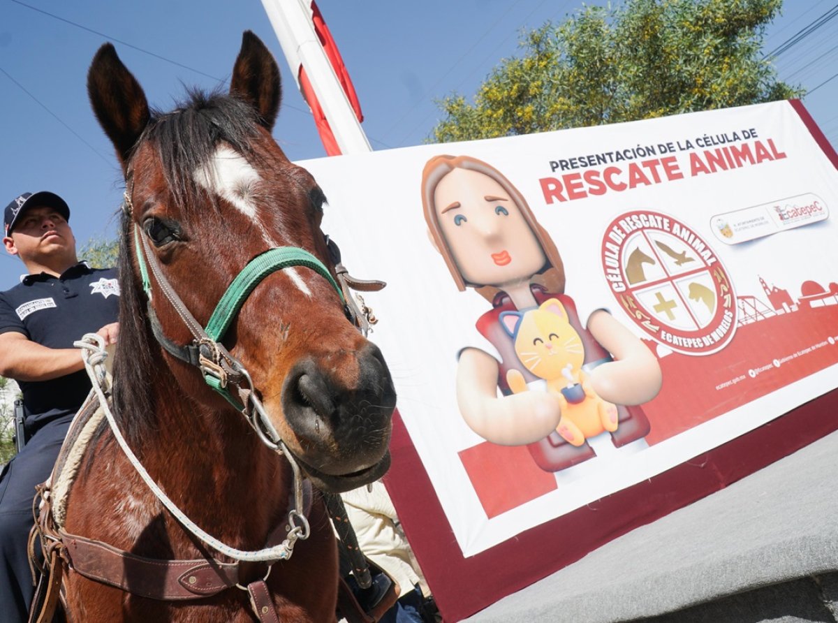 Presentan en Ecatepec la Célula de Rescate Animal para Proteger a Mascotas y Fauna Silvestre