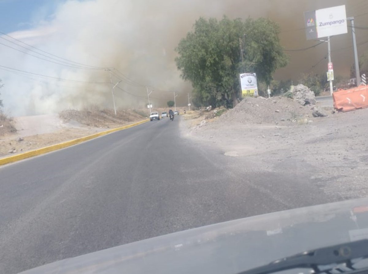 Incendio en la Laguna de Zumpango: Alerta Ambiental en la Región