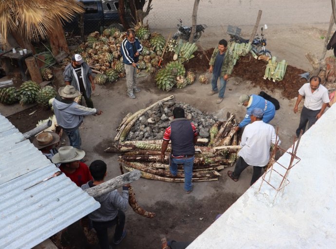 Revolucionando la Producción de Mezcal: Investigación Interdisciplinaria en la UACh