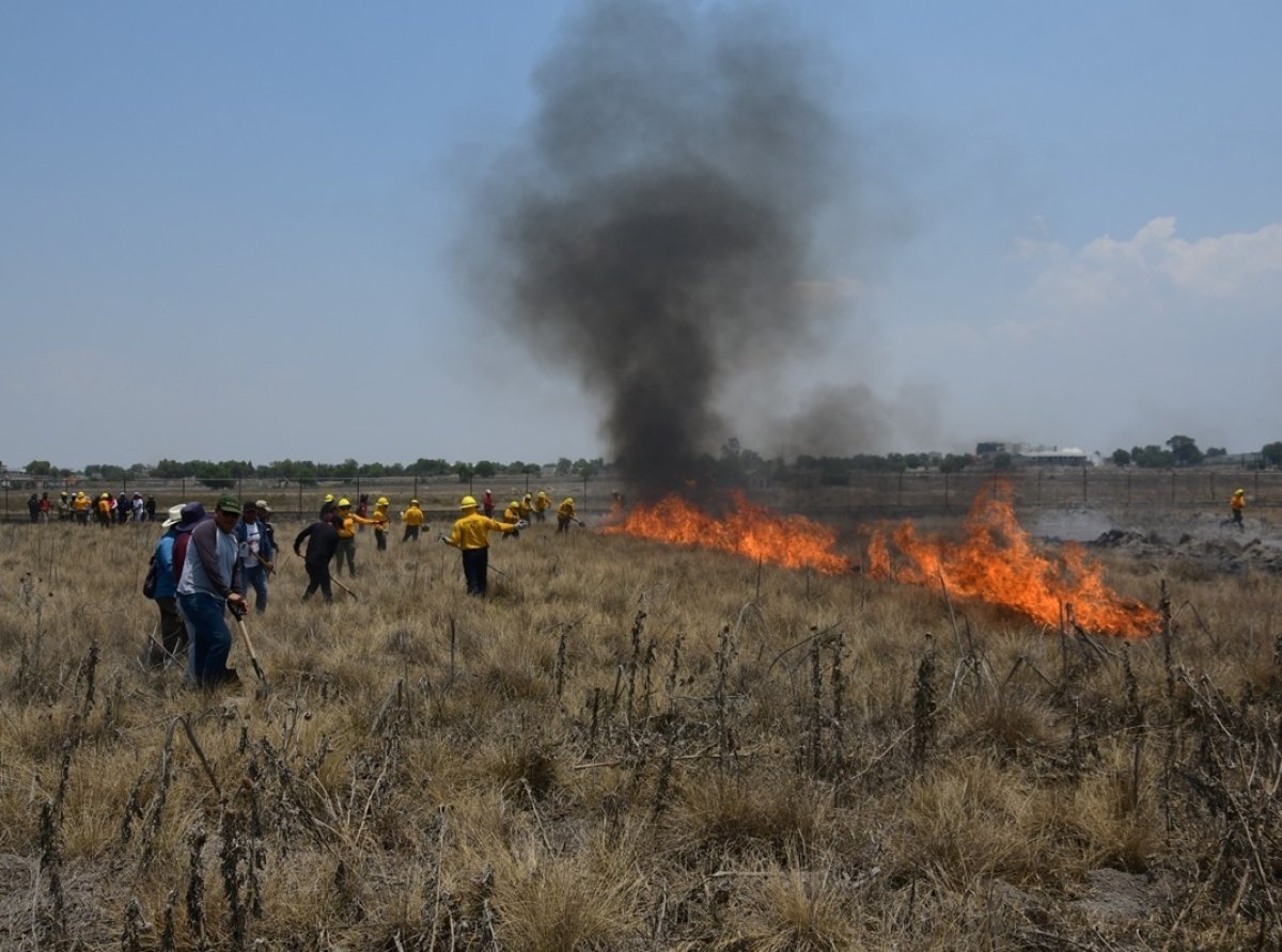 Probosque y Protección Civil Capacitan Brigadas en Combate de Incendios 