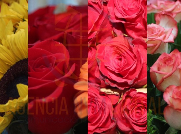 Impacto económico y laboral de la industria florícola en el Estado de México