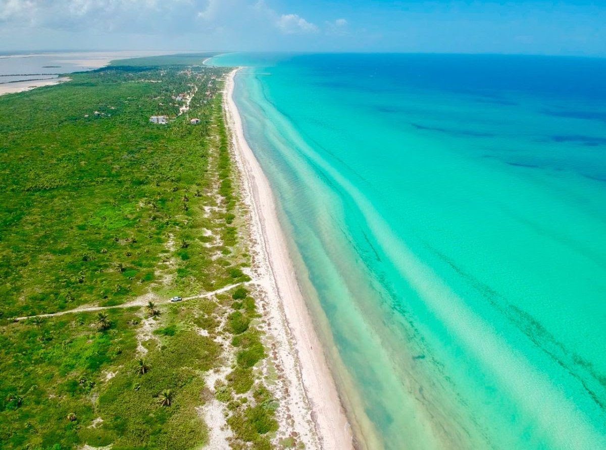 Vacaciones de ensueño: Cinco playas imperdibles en Yucatán