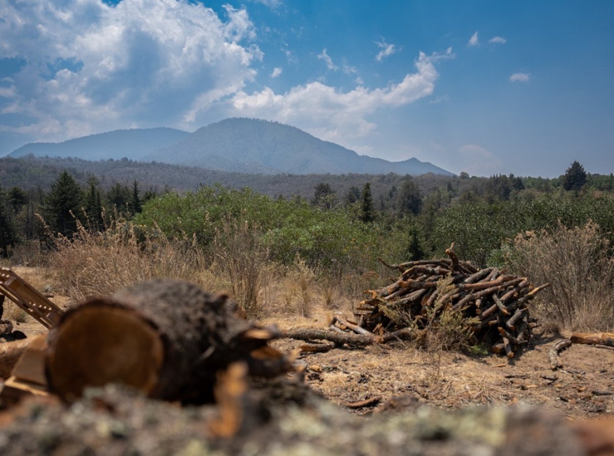 Esfuerzo Comunitario y Desafíos Ambientales en San Pablo Ixayoc y Santa Catarina del Monte