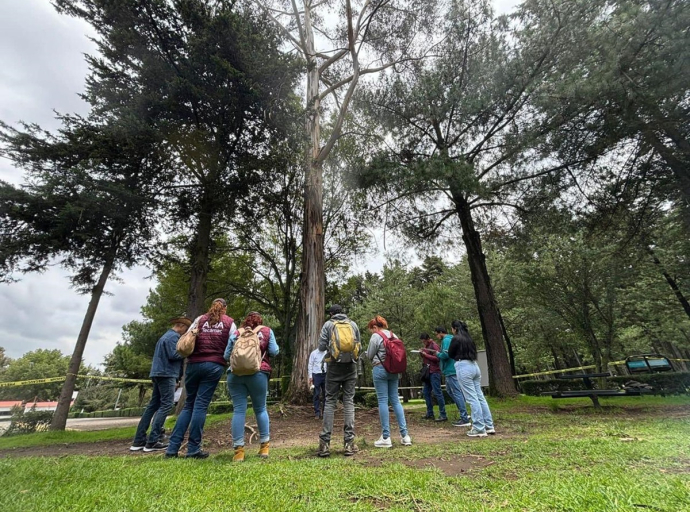 Tecámac obtiene certificación por manejo de áreas verdes urbanas