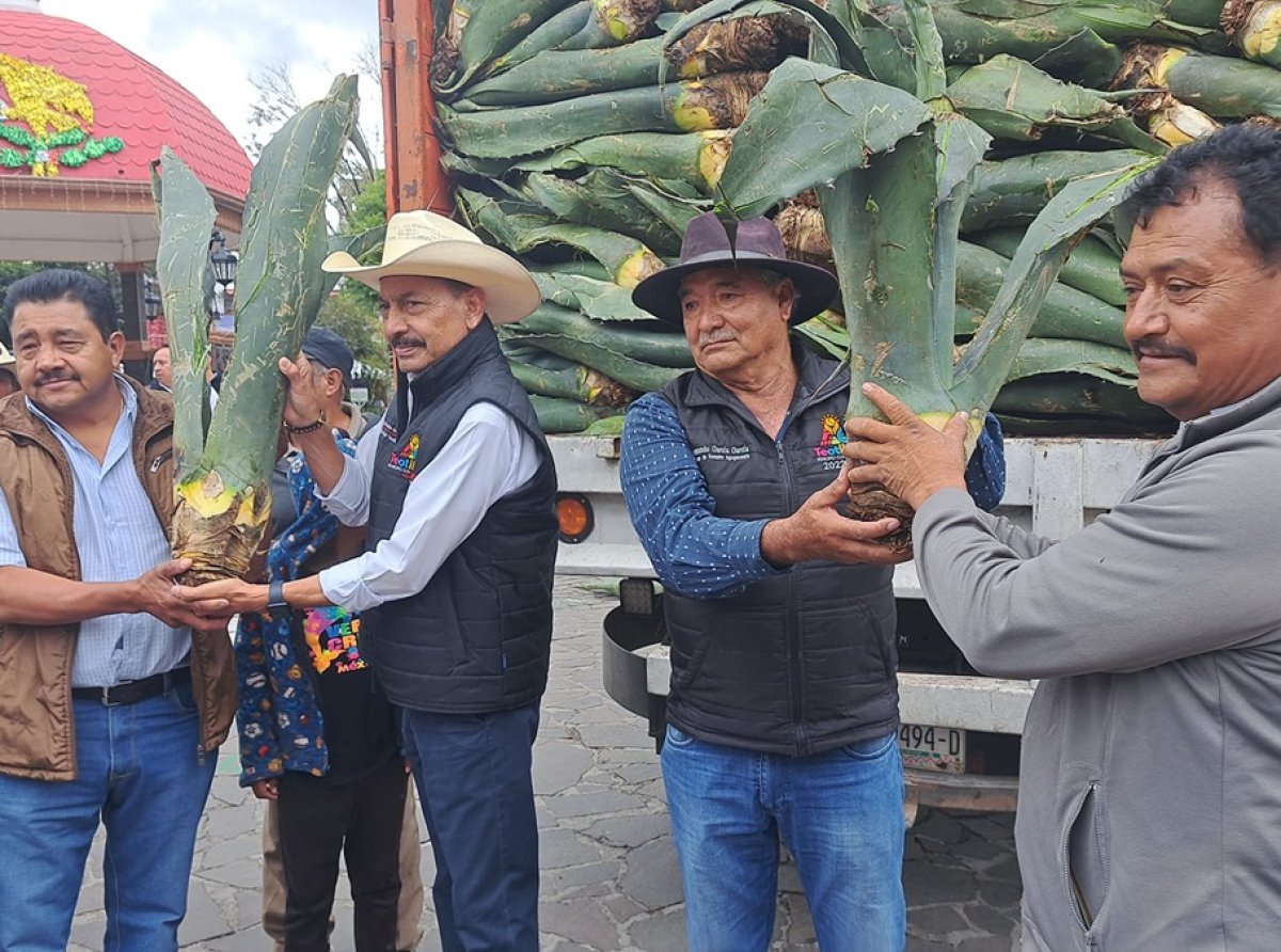 Impulso al cultivo de maguey en Teotihuacán con apoyo municipal