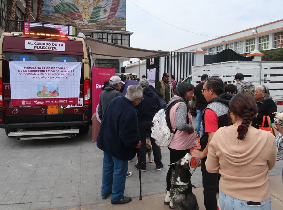 Texcoco impulsa la esterilización de mascotas para prevenir maltrato y abandono