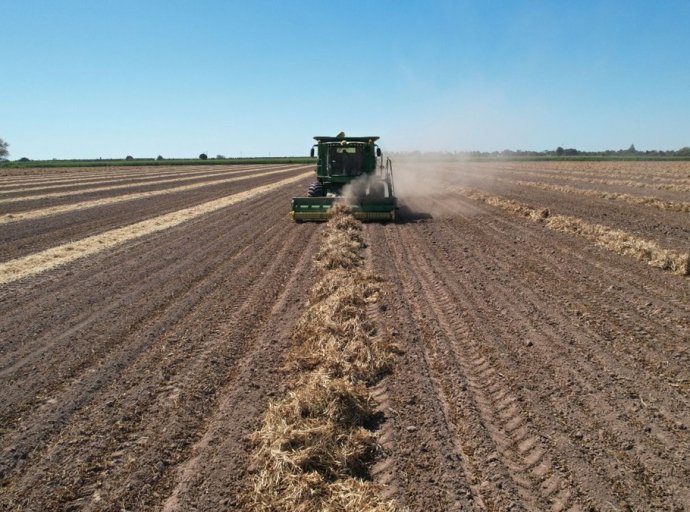 Anuncia la Secretaría de Agricultura “Estrategia Nacional de Transición Agroecológica 2024 – 2030”, ante agrónomos de UAM