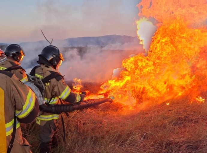 Alerta en el Parque Ecológico Lago de Texcoco por Incendio en la Zona Norte