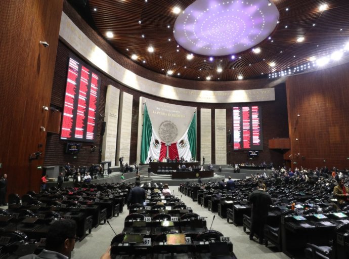 México eleva la protección animal a nivel constitucional en histórica reforma legislativa