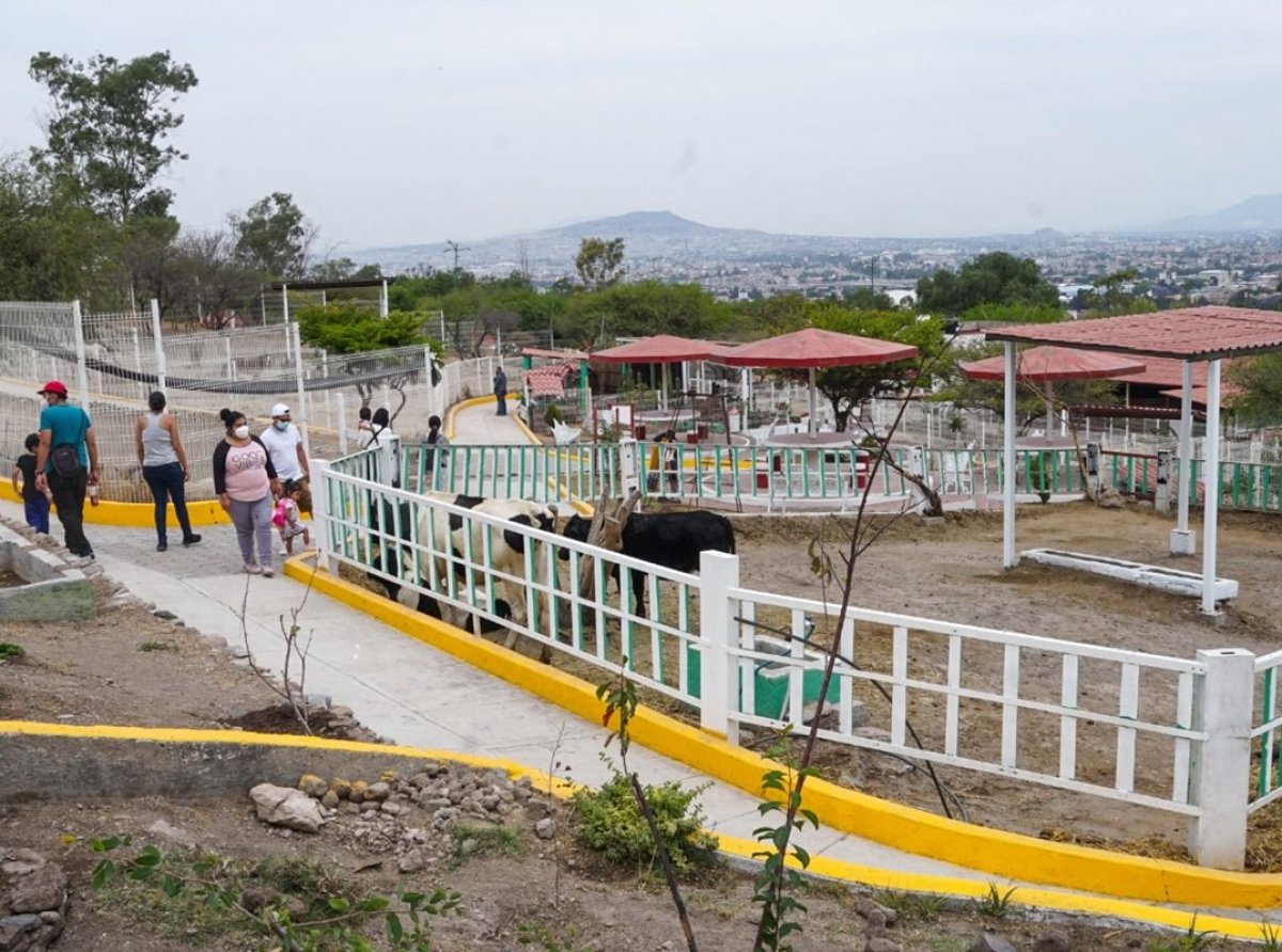 Investigan desaparición de 11 animales en el Parque Ecológico Ehécatl