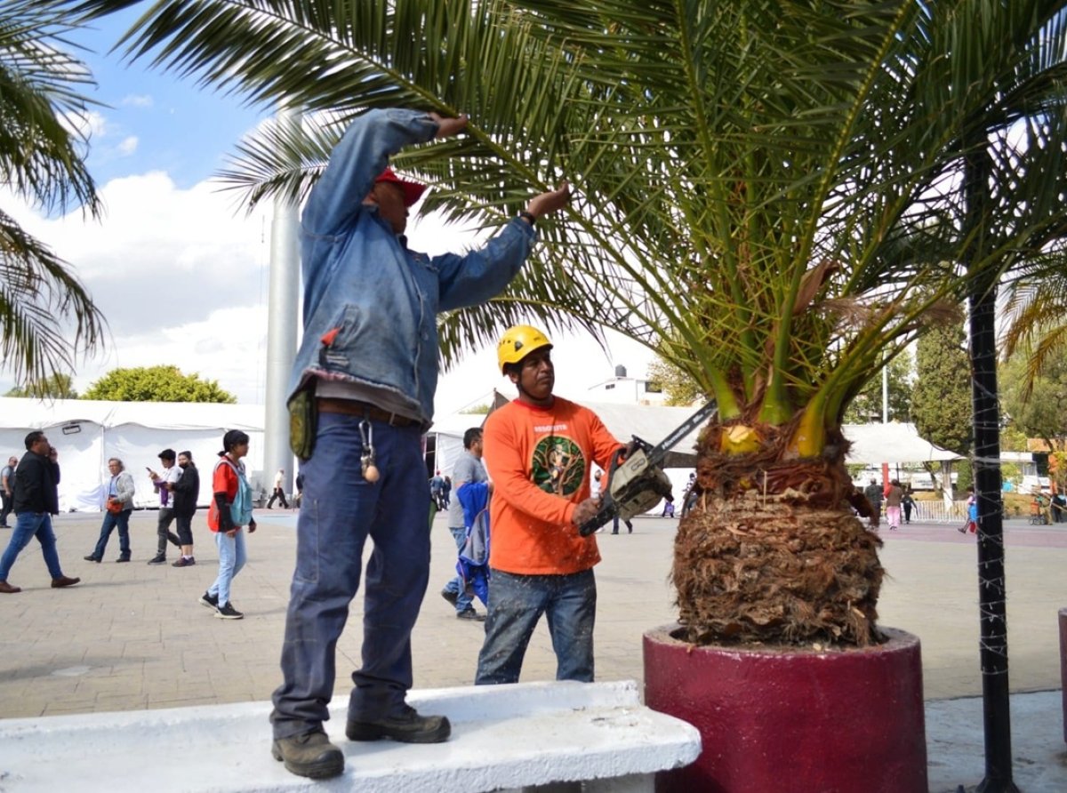 Transformación del Jardín Municipal: Un Espacio de Calidad y Esparcimiento