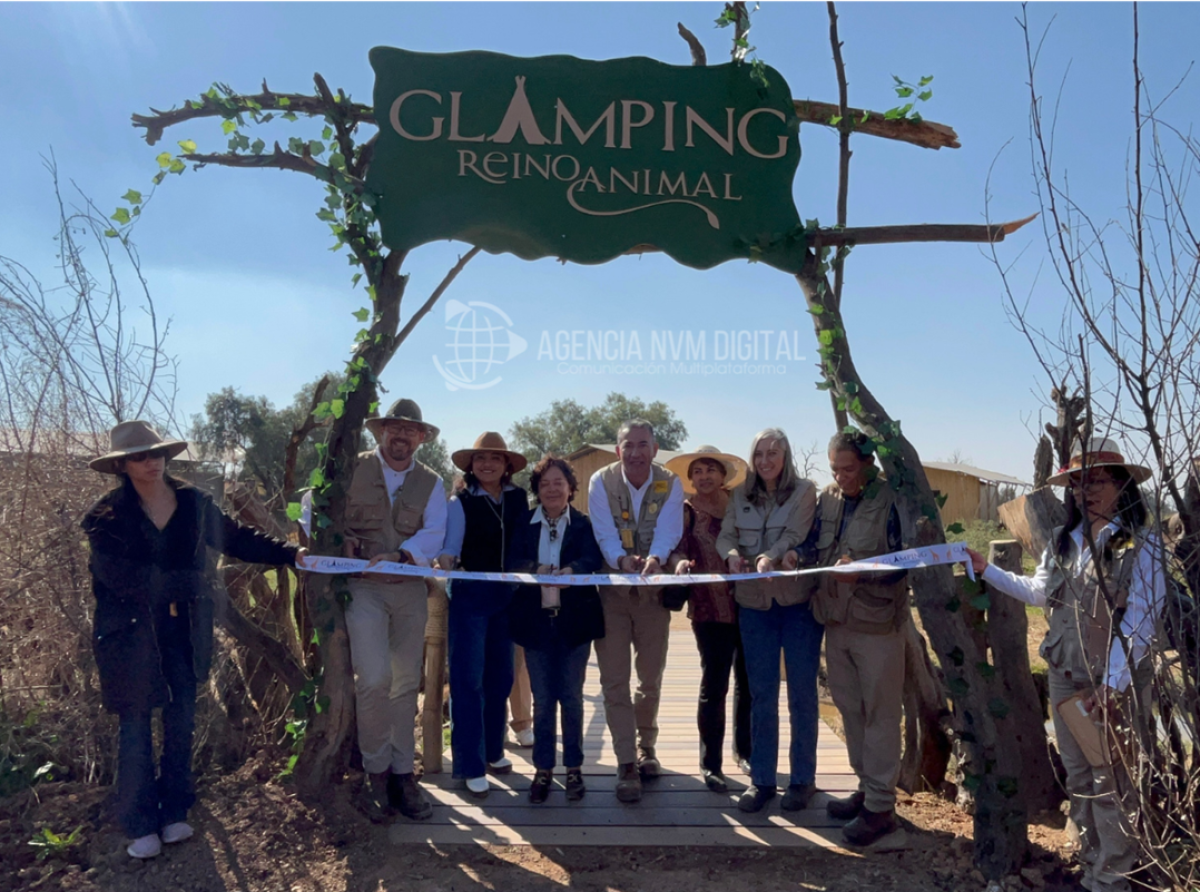 Glamping Safari en Reino Animal: Innovación y Turismo Sustentable en Teotihuacán