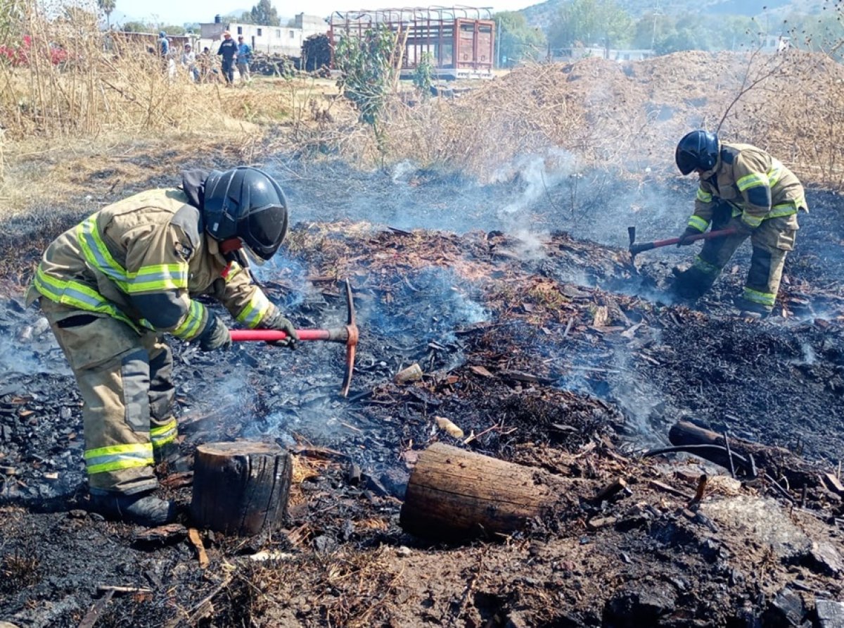 Controlan incendio de pastizal en Texcoco y evitan daños mayores