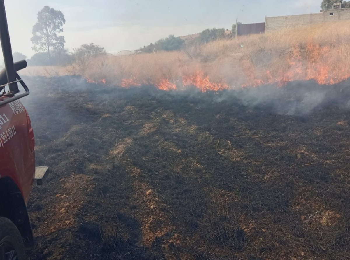 PROBOSQUE y ejidatarios unen fuerzas contra incendio cerca del cerro Tezcutzingo