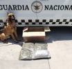 Detectan marihuana en caja de huevo durante operativo en Guadalajara