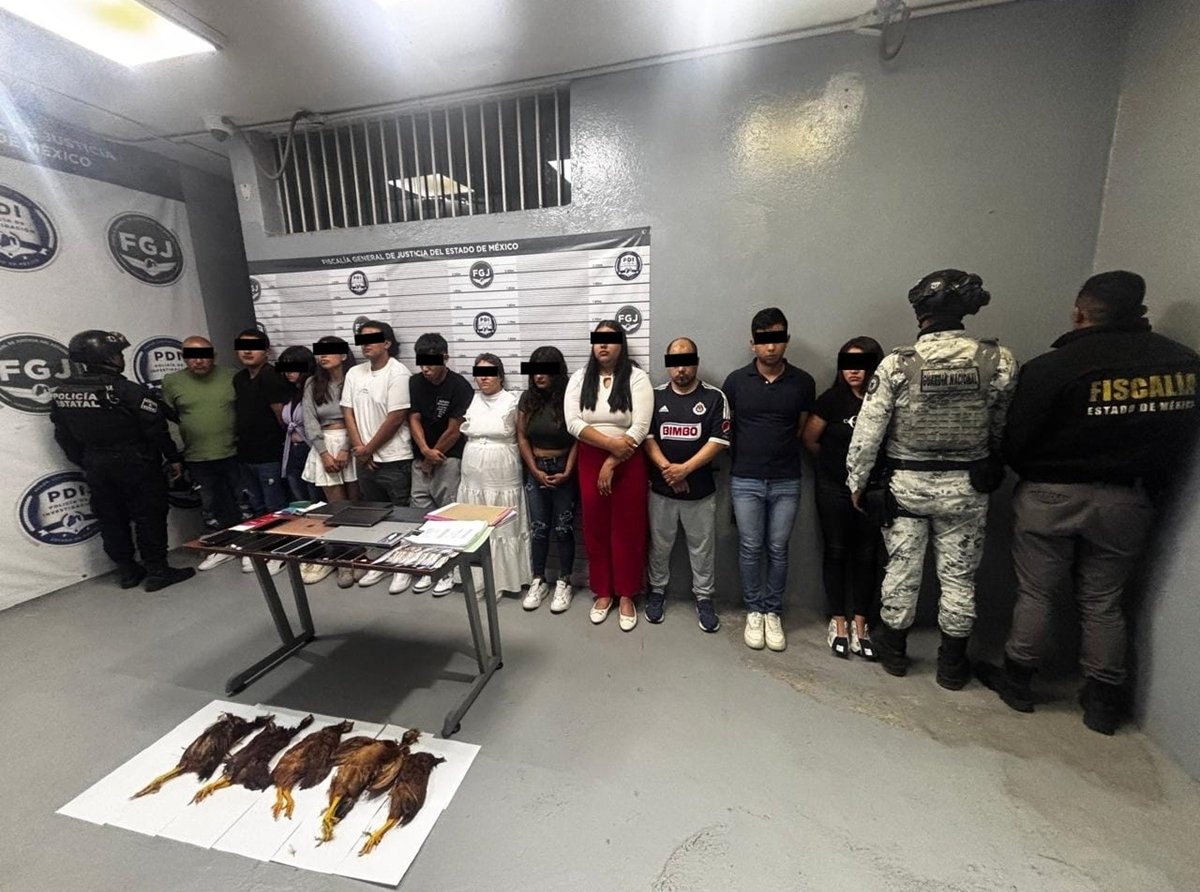 Autoridades recuperan predio invadido y desmantelan call center ilegal en Ecatepec