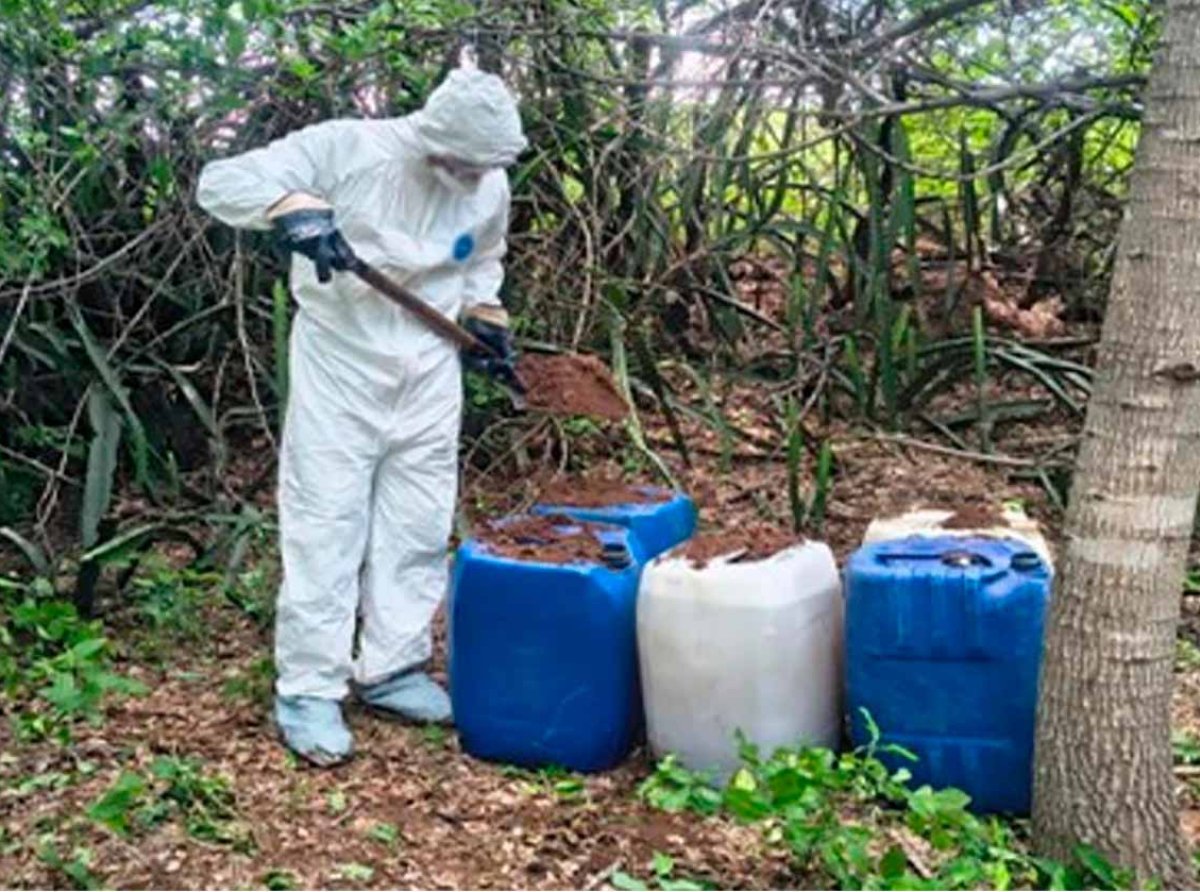 Localizan e inhabilitan áreas para fabricar drogas sintéticas en Sinaloa