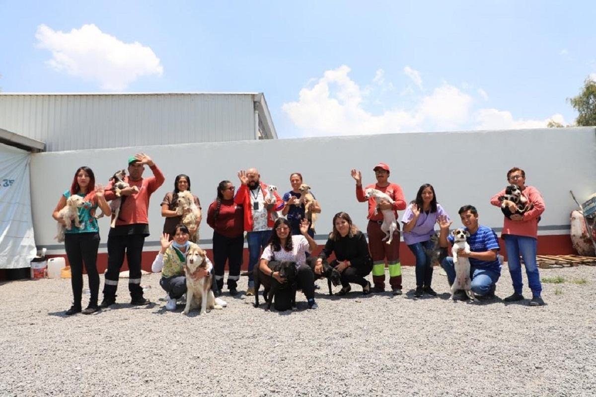 En cinco meses la Unidad de Control de Bienestar Animal ha resguardado 34 animales que sufrían agresión