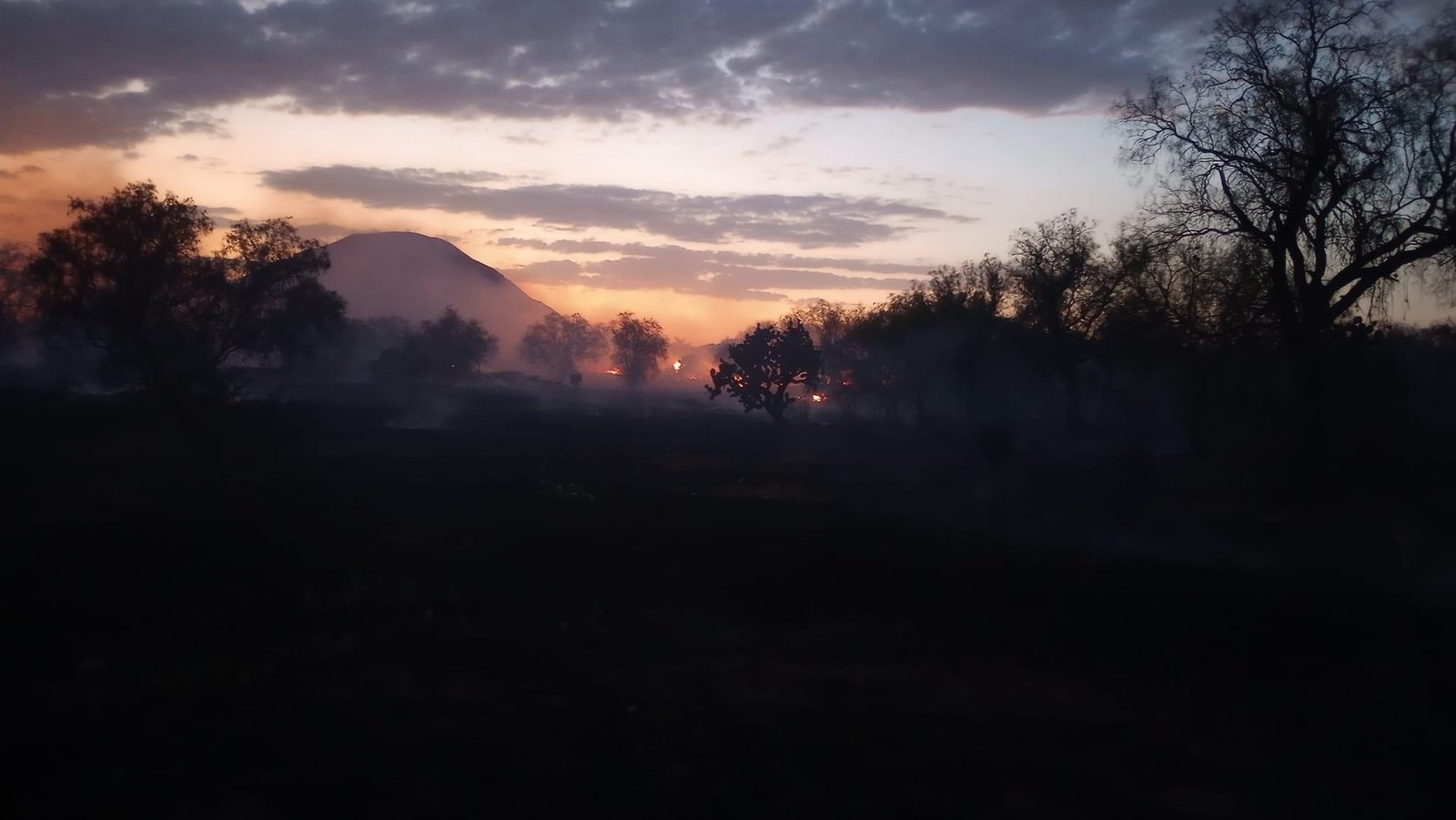 Incendio de pastizales en la Zona Arqueológica de Teotihuacán  