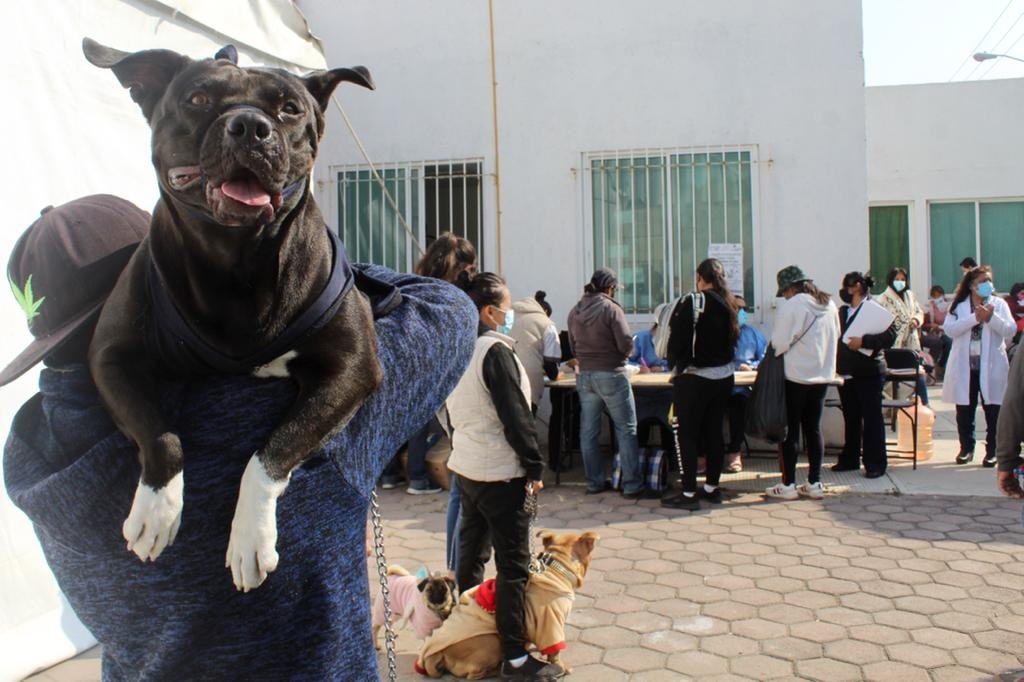 Jornada de esterilización canina y felina llega a Santa Elena